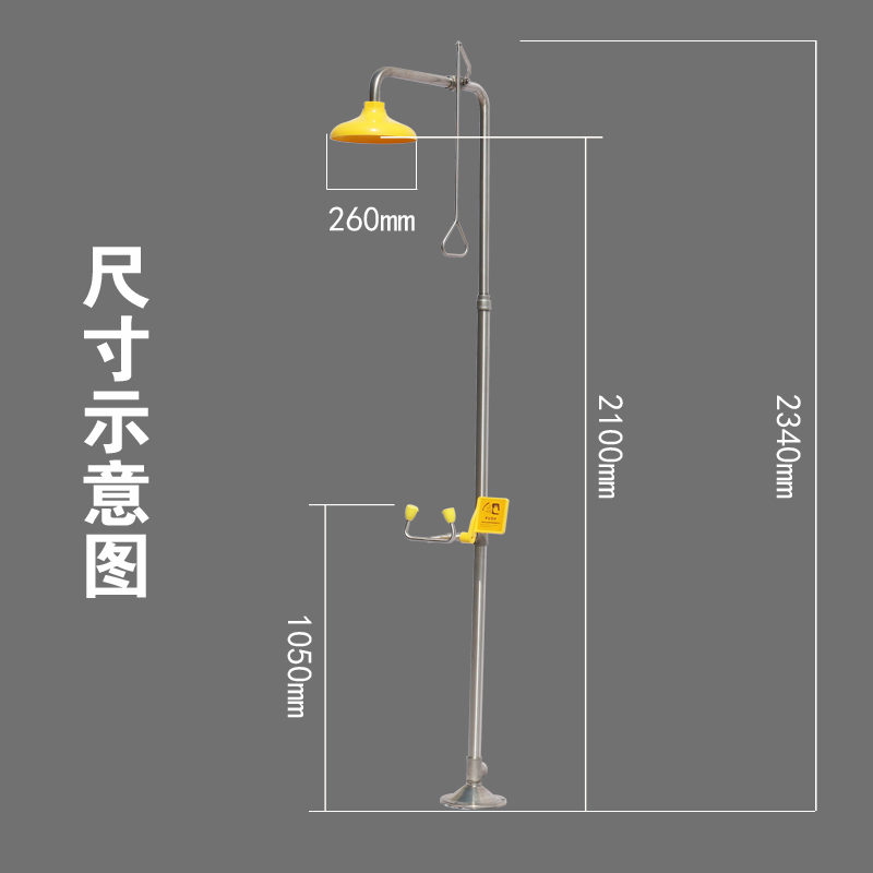 Combined Eyewash Station